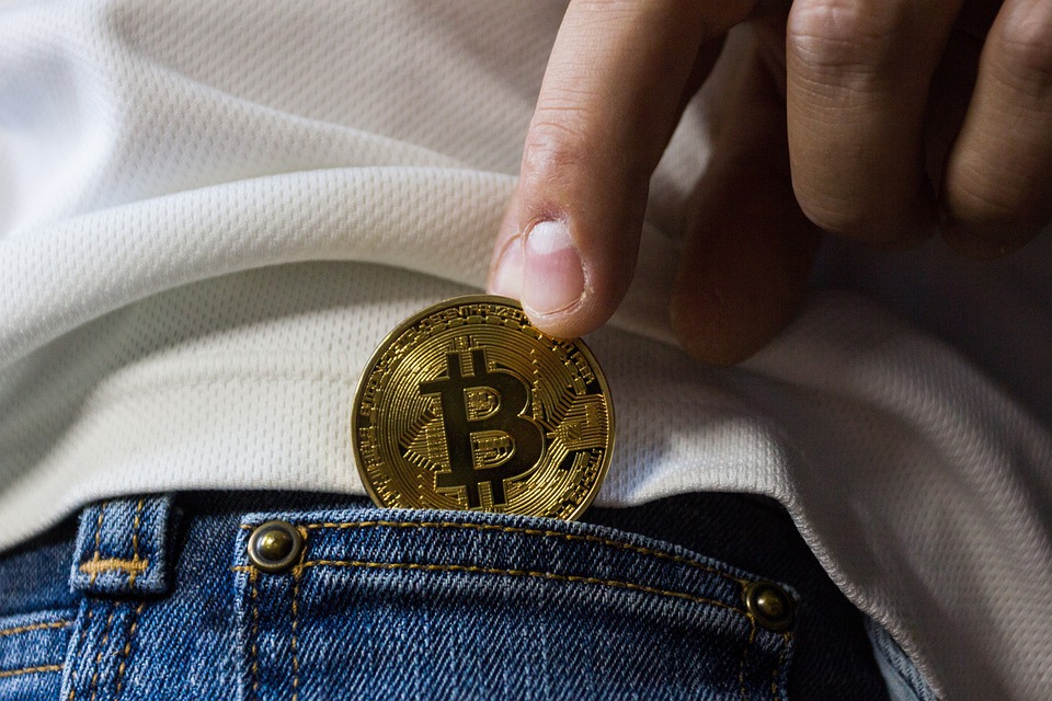 Why Should Investors Choose Bitcoin?