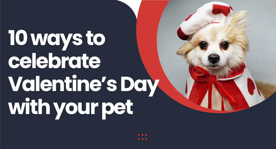 valentines coup ons for pet animals