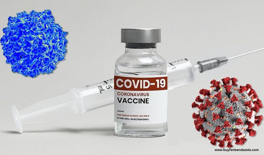Covid-19 Vaccines: All The Myths Debunked | buyfenbendazole