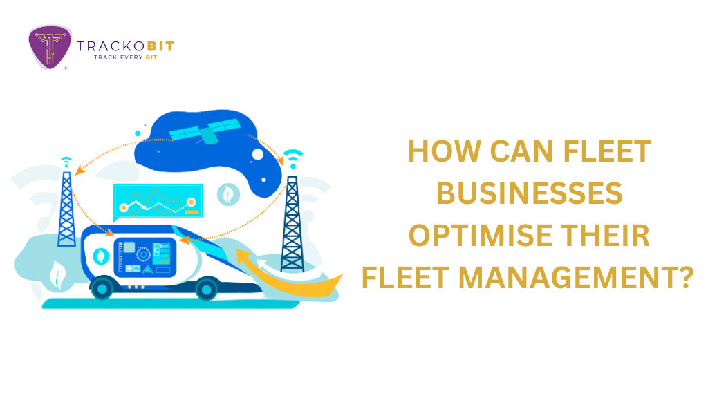 How Can Fleet Businesses Optimise Their Fleet Management