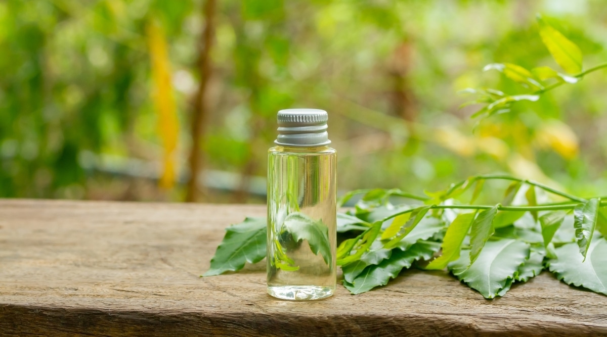 How To Mix Neem Oil For Flora: Three Best Neem Oil Spray Recipes?