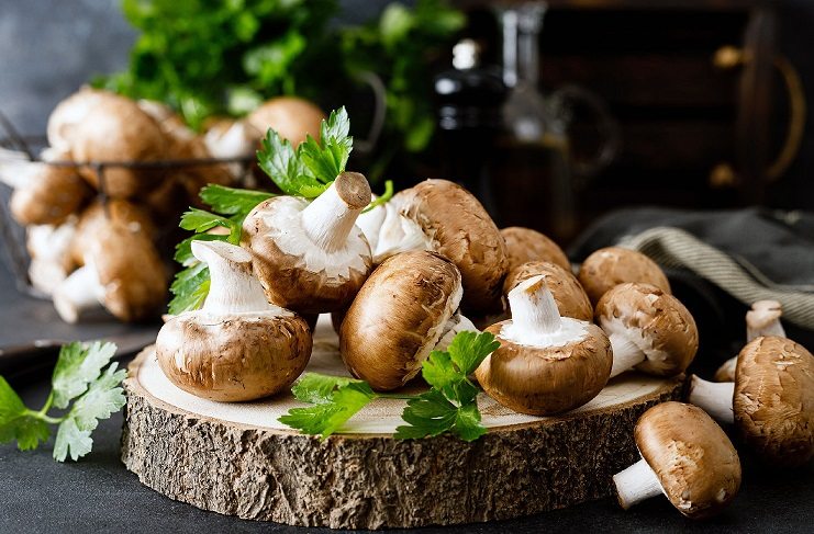 A gander at the medical advantages of mushrooms